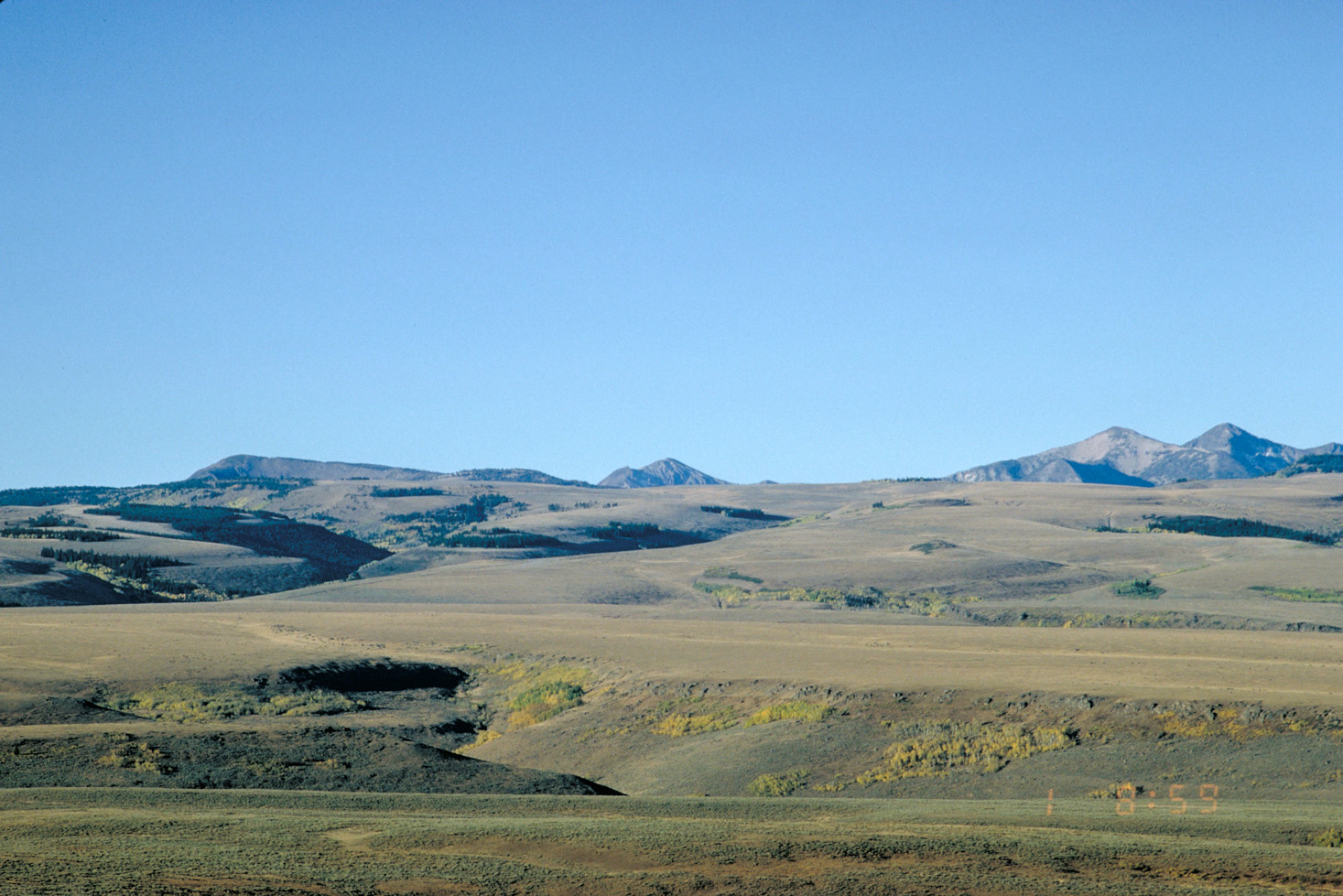 Mary River's Peak in the Jarbidge Wilderness Area during a clear day in the summer season