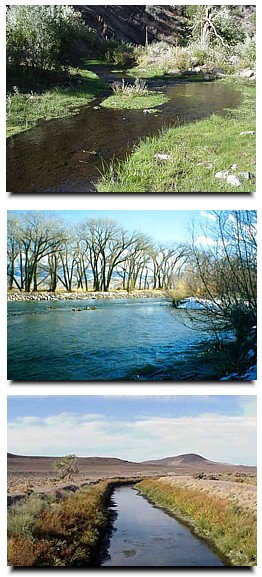 Three images of streams in Nevada