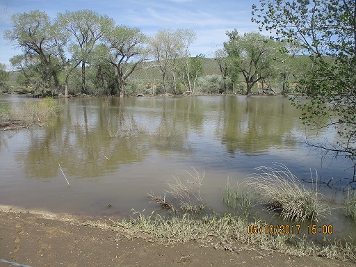 Photo of Carson River