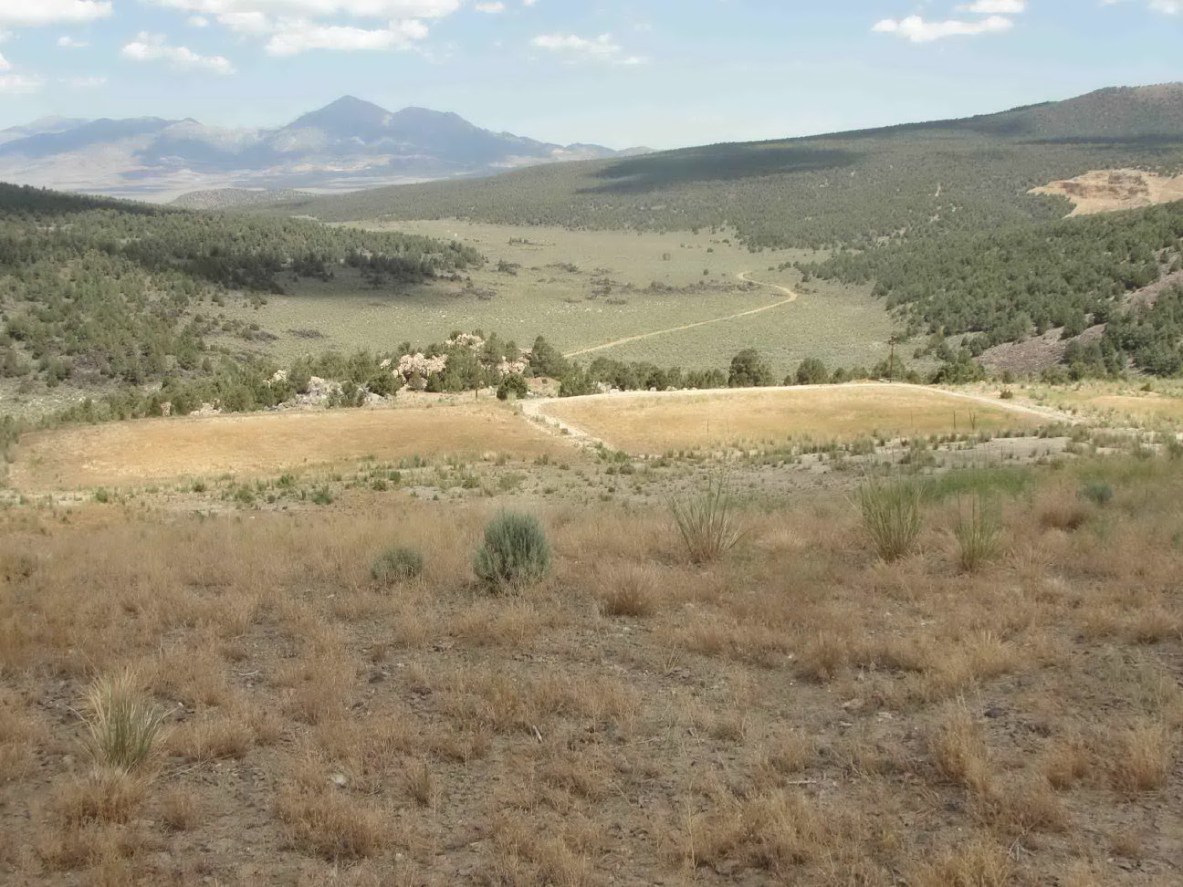 Reclaimed process ponds now serving as evaporation cells.