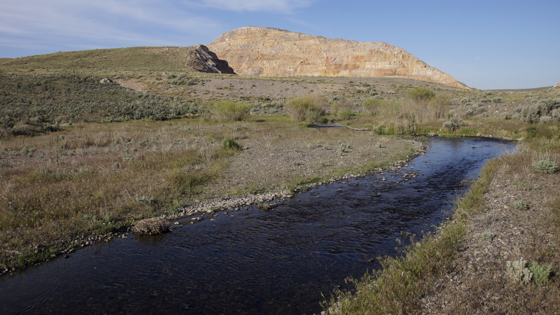 Stream passing by a fully revegetated and reclaimed mine site. 